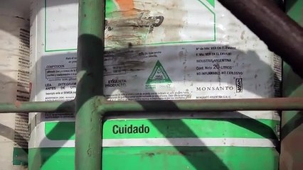 Organismes transgéniques bientôt dans vos assiettes