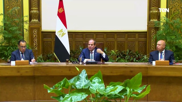 الرئيس السيسي: مهتمون بقطاع صناعة السيارات الكهربائية وتقديم الحوافز لإنجاحه