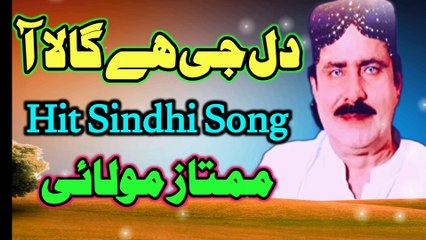 Dil Ji hai  Haala AA | New Sindhi song | latest song | Latest Sindhi song | Mumtaz Molai