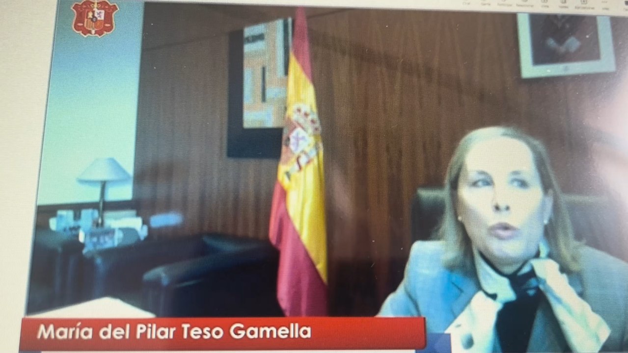 Comparecencia de Pilar Teso