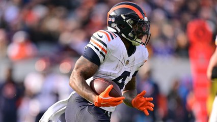 Lions vs. Bears Showdown: Can Bears Challenge Lions?