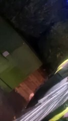 Investigation after bus row between driver and wheelchair user