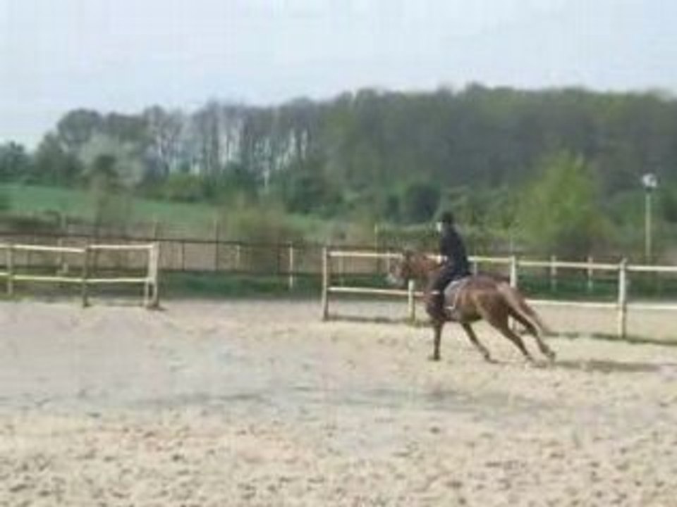 Enchainement de 3 obstacles Filou et moi