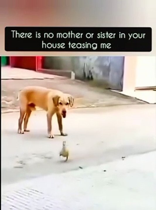 There is no mother or sister in your house teasing me 😭🤣