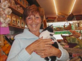 petit chat trop mignon