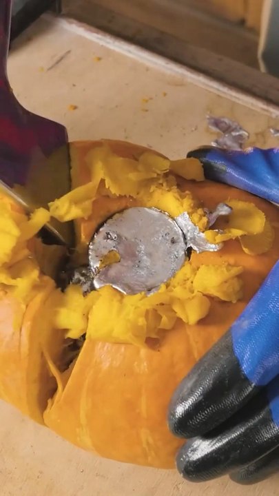 Oh lord! What did he just do to that pumpkin?
