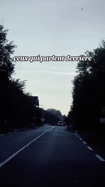 Tes critiques me glissent dessus #conseils #citation #motivation #success