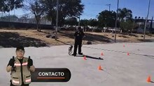 Cómo Entrenar a un Beagle Guía Paso a Paso para Principiantes