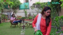 Ishq Beparwah Episode 25   26th November 2024   Affan Waheed   Alizeh Shah   Green TV