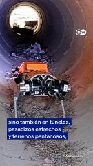 Robots subacuáticos