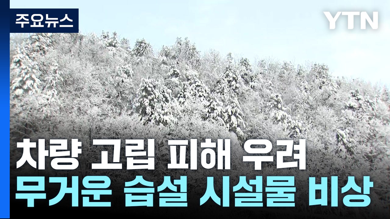 강원 산간 폭설...습설에 시설물 피해 비상 / YTN