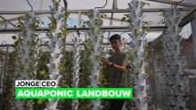 Jonge CEO: aquaponic landbouw