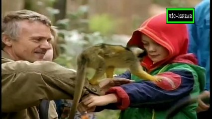 Si los Animales hablaran: Que circo..! - Documental (1998) Español Latino *Episodio 9