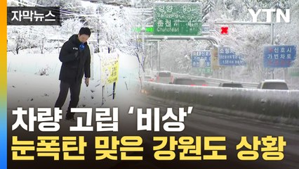 [자막뉴스] '대설경보' 하얗게 뒤덮인 강원도...'설상가상' 무거운 습설 공포 / YTN