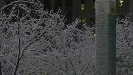[날씨] 밤사이 중부 곳곳 많은 눈...서울 동북권 '대설경보' / YTN