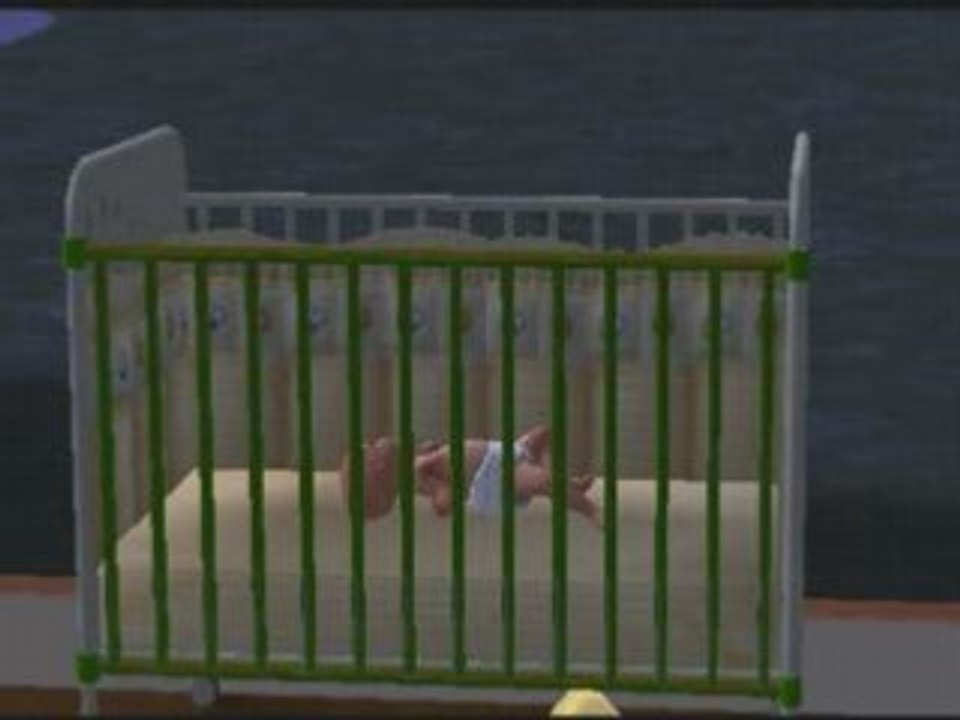 Projetsims