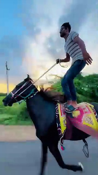,,,,,,Man dance,,,,,, with horse,,,,,