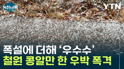 철원서 콩알만 한 우박이 우수수..."한반도 상공 대기 불안정" [Y녹취록] / YTN