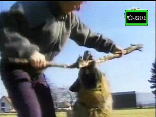 Si los Animales hablaran: El aburrimiento entorpece - Documental (1998) Español Latino *Episodio 10