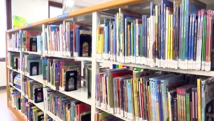 CUMMINGS, NALIS, DEFEND $42M LIBRARY