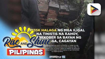 P135-K na halaga ng mga ilegal na tinistis na kahoy, nasabat ng mga awtoridad sa Gonzaga, Cagayan
