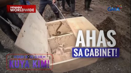 King cobra sa cabinet, nirespondehan ng mga eksperto! | Dami Mong Alam, Kuya Kim!