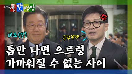 [돌발영상] 틈만 나면 으르렁, 가까워질 수 없는 사이 / YTN