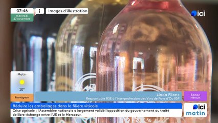 Linda Filone, responsable RSE à l'interprofession des Vins Pays d'Oc IGP