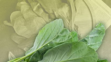 Cải bó xôi: Loại rau "nhỏ mà có võ", góp phần phòng ung thư và các bệnh mãn tính