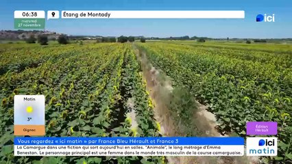 27/11/2024 - ICI Matin France Bleu Hérault en vidéo