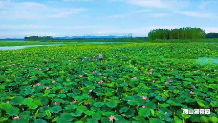 When the history-bearing Beijing-Hangzhou Grand Canal meets the natural Weishan Lake