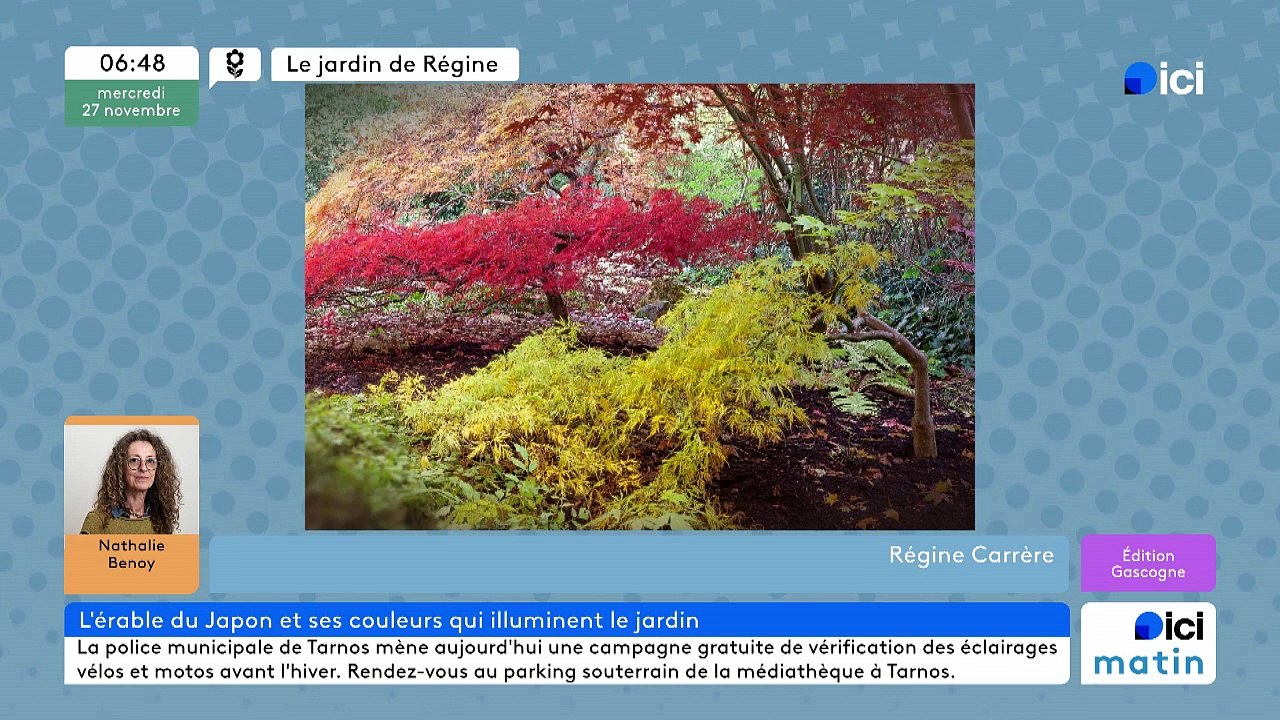 27/11/2024 - ICI Matin France Bleu Gascogne en vidéo