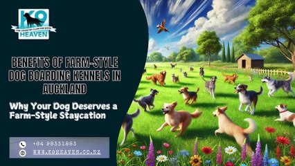 Benefits of Farm-Style Dog Boarding Kennels in Auckland1