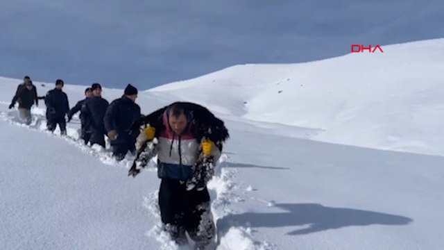 Karda kaybolan küçükbaş hayvanlar dron kamerasıyla bulundu: o anlar kamerada