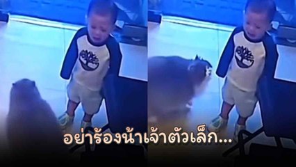 โอ๋ ๆ อย่าร้องน้าเจ้าตัวเล็ก…