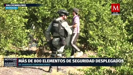 Fuerzas de seguridad despliegan operativo en Michoacán contra la extorsión a productores de limón
