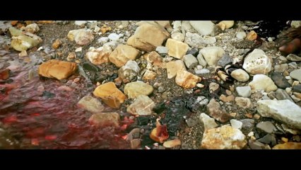 Man Vs Bigfoot _ Full Survival Action Movie _ 2024 Hollywood Action Movie