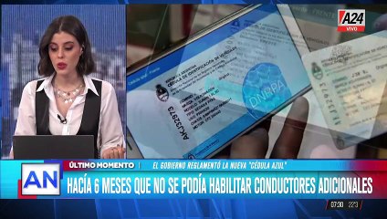 Nueva Cédula Azul Digital: Un Trámite Sencillo desde Mi Argentina