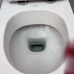 Stefano Bandecchi, video davanti al wc in cui attacca la sinistra