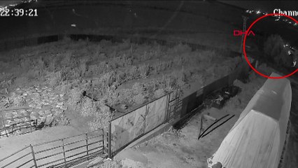 Salim Güran'ın dere yatağına gittiği anların görüntüsü ortaya çıktı