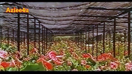 Woh Aik Hai Lakhon Main Woh Rehta Hai - Jiya Ali - Pakistani Film Deewane Tere Pyar Ke (1997) - Shazia Manzoor