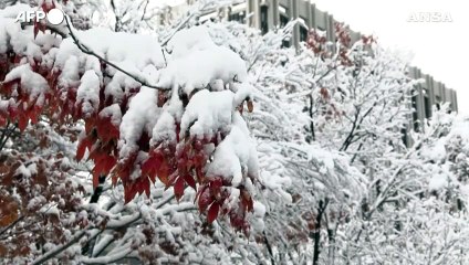 Seoul in bianco, la nevicata novembrina piu' forte del secolo