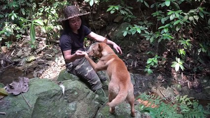 EP.226 - Pesque Peixe, Comida Selvagem, Pesque e Cozinhe