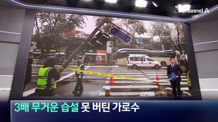 3배 무거운 습설…쓰러진 가로수에 정전 피해