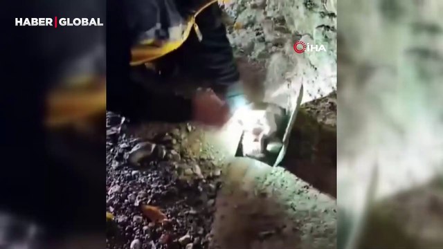 Yavrusu kurtarılırken saatlerce bekledi, köpeğin annesi ekiplere adeta teşekkür etti