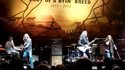 Lynyrd Skynyrd - Last of a Dyin Breed