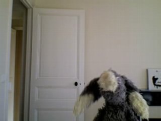 Lapinou écoute Sonny Rollins