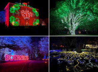 Spectacular Christmas light trail returns to Edinburgh’s Royal Botanic Gardens