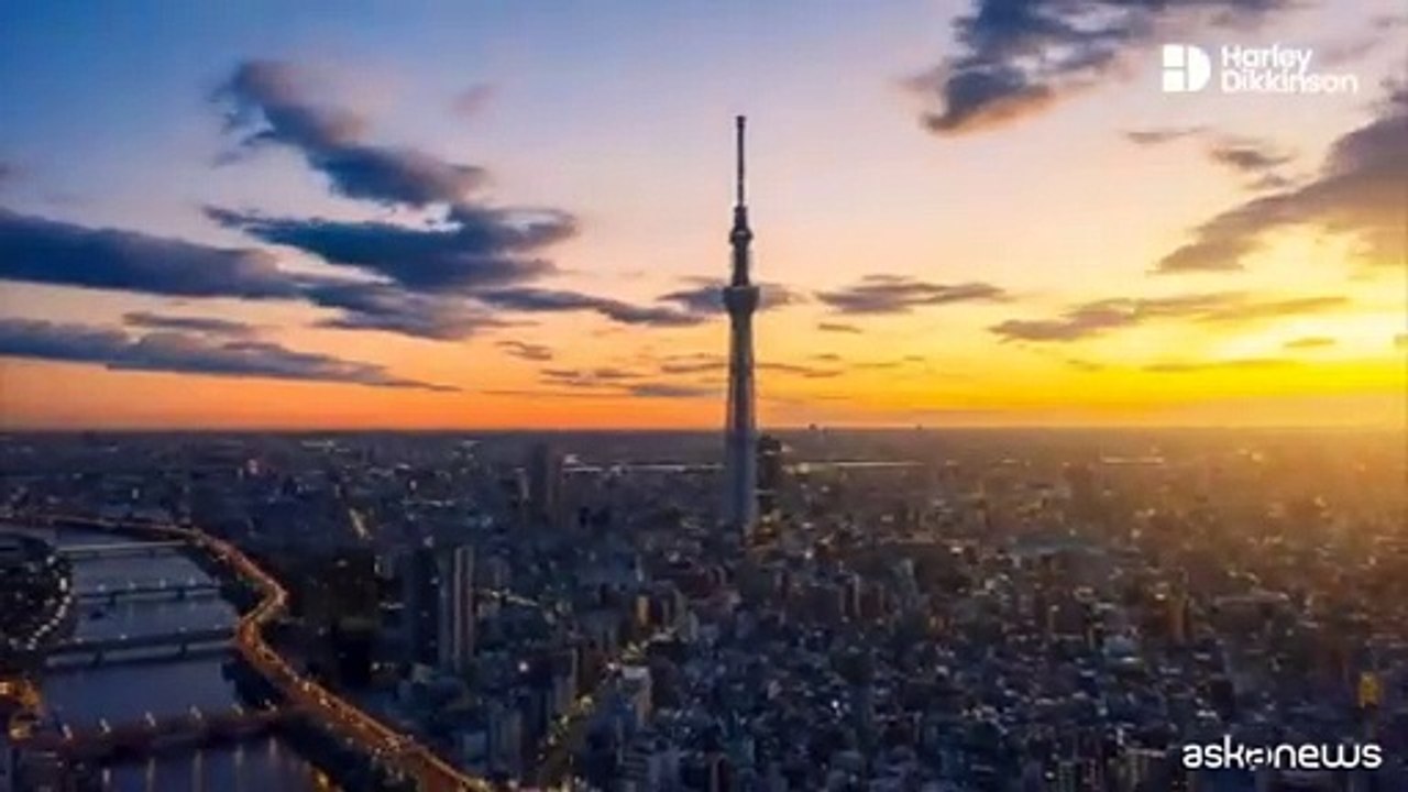 Harley&Dikkinson, nuovi sviluppi per i crediti di carbonio