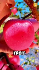 Did You Know This Natural Medicine ..? 😮🙄